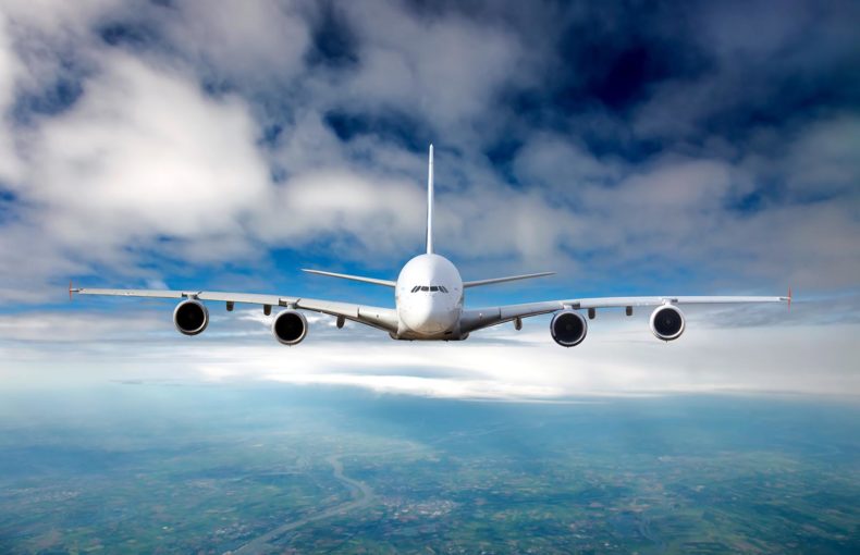 plane in flight